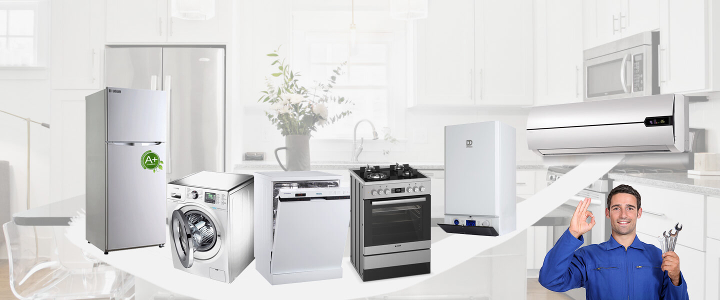 Boyalık Protherm Servisi